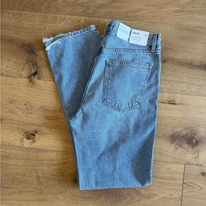 Agolde 90’s pinch waist high rise straight jeans